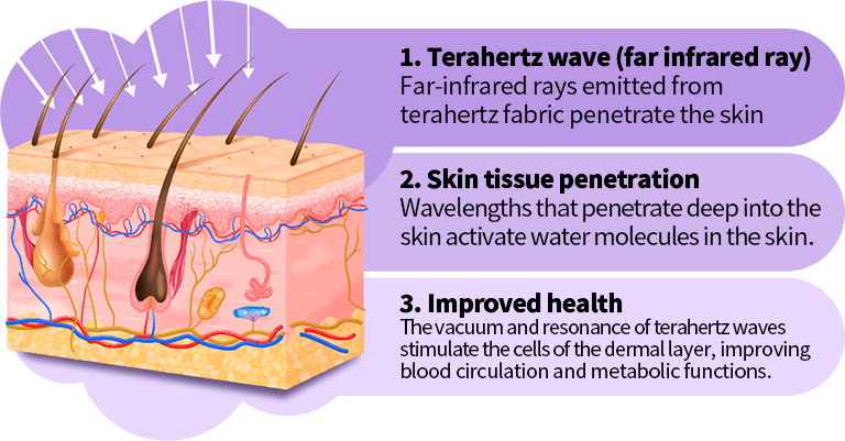 1. Terahertz wave (far infrared ray), 2. Skin tissue penetration, 3. Improved health