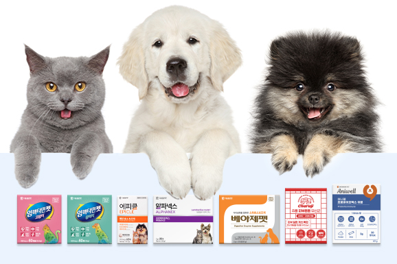 Nutricare: Everything about premium pet food for pet health